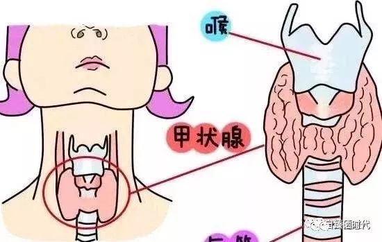 甲状腺功能不好补硒