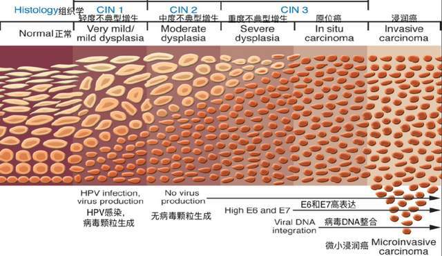 癌症补硒的进口药物