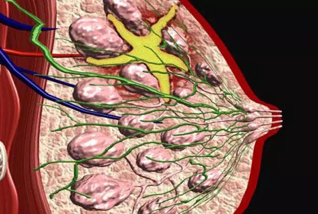 补硒对乳腺结节好吗
