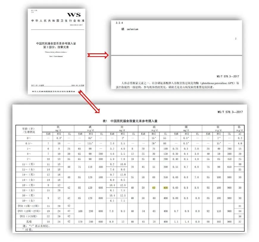 人体咋样了补硒多少