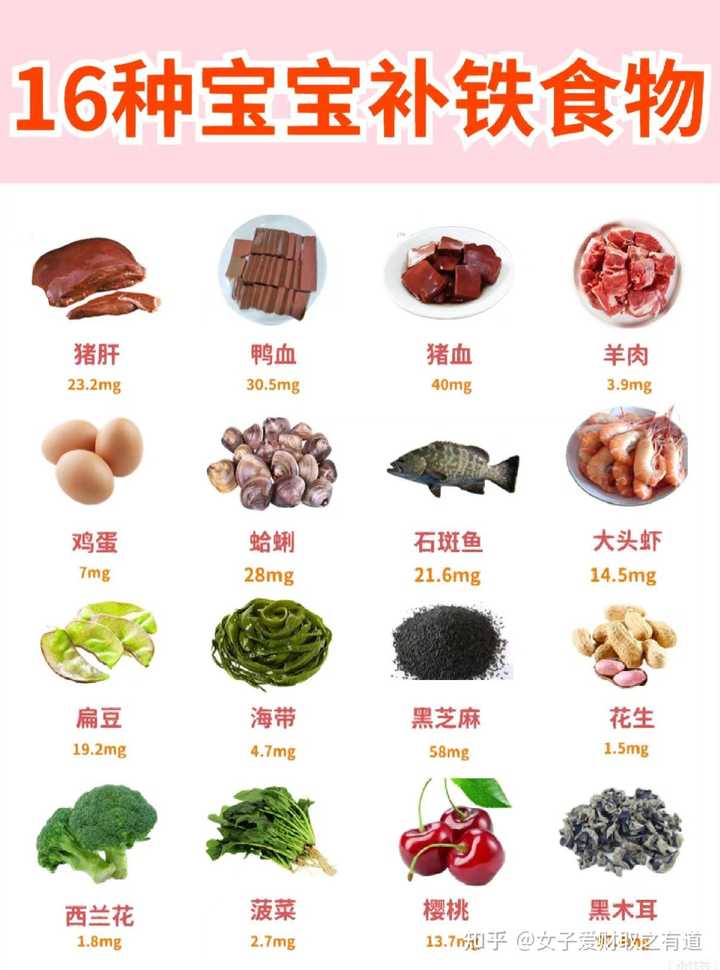 补铁食物有哪些