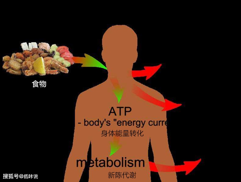 补硒同时可以补钙吗