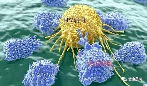 补硒治疗hpv16