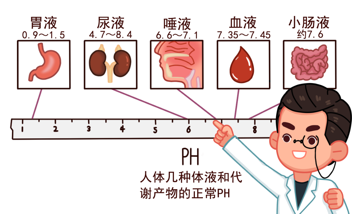 酸性体质可以补硒吗