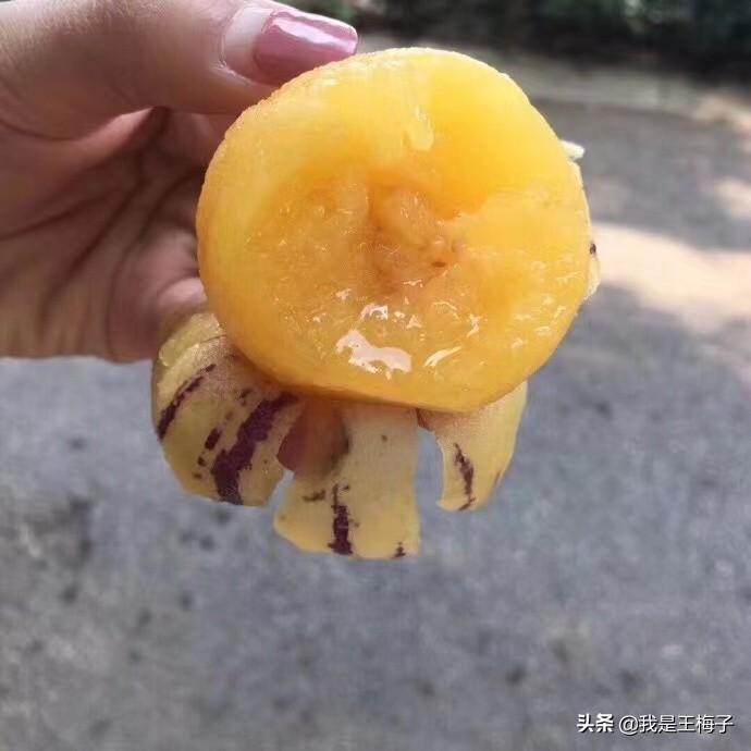 什么水果补硒的好处