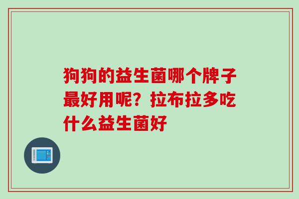 狗狗的益生菌哪个牌子好用呢？拉布拉多吃什么益生菌好