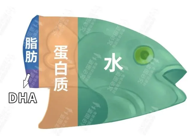 dha|爸妈说，吃鱼能变聪明。没想到吃了这么多年，这些和鱼相关的竟然都是谣言！