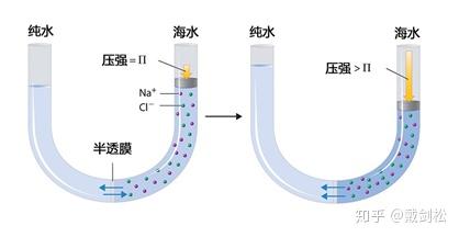 电解质钠低怎么补