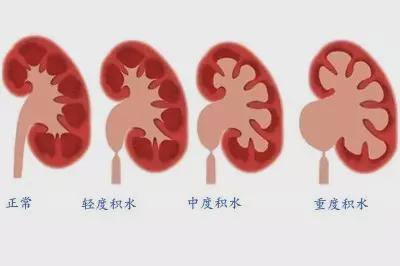 补硒人群用法用量表