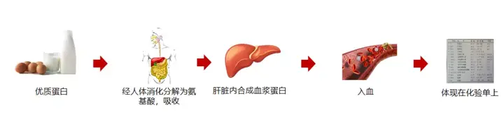 钠偏低怎么补