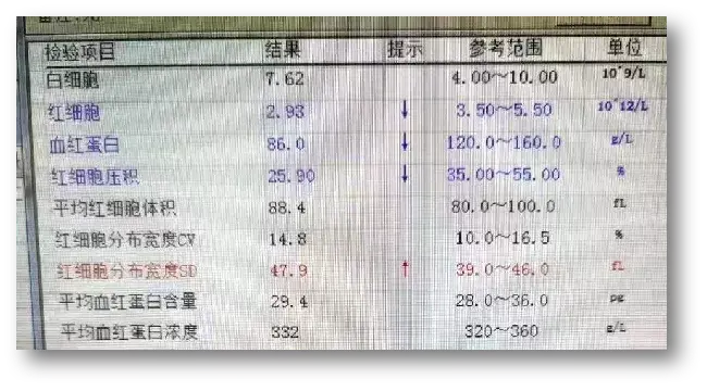 钠偏低怎么补