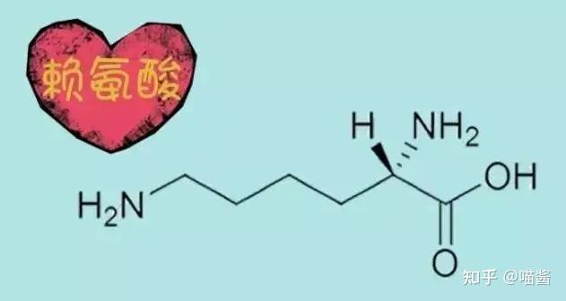 儿童补钙能长高吗