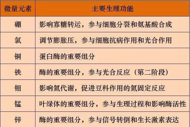 成人可以查微量元素吗