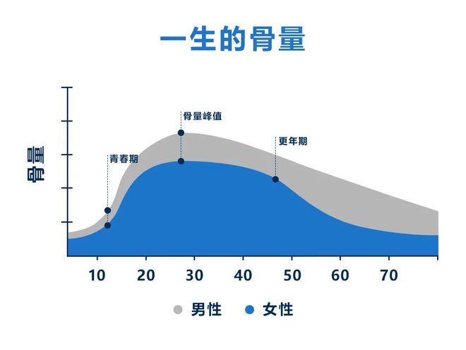 筒骨补钙吗