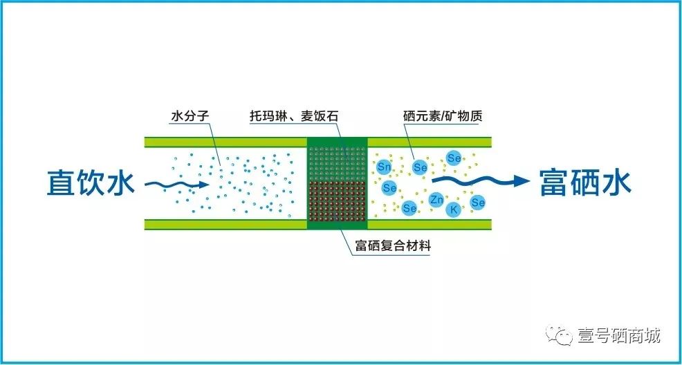 全民补硒中国健康行