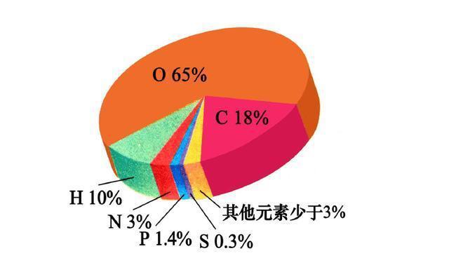 微量元素是哪些