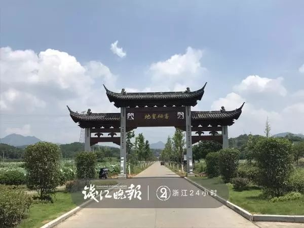 土地缺硒可以怎么补