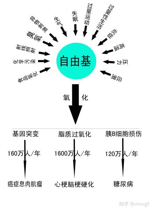 硒是中药可以怎么补