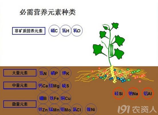 中微量元素肥