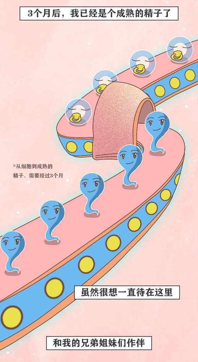 补硒与男性生殖健康