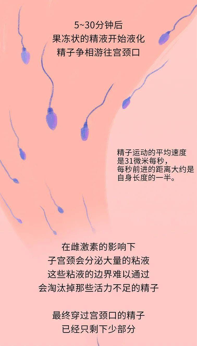 补硒与男性生殖健康