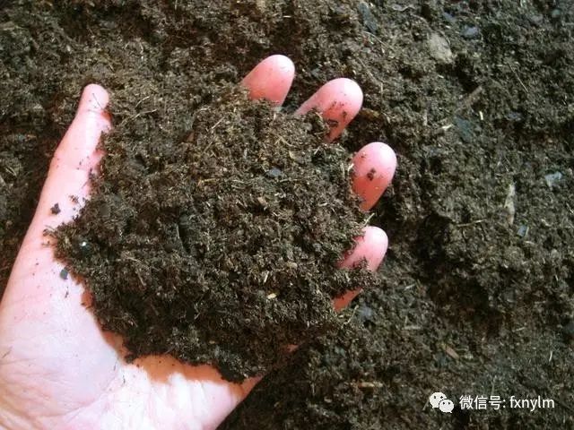 微量元素食物