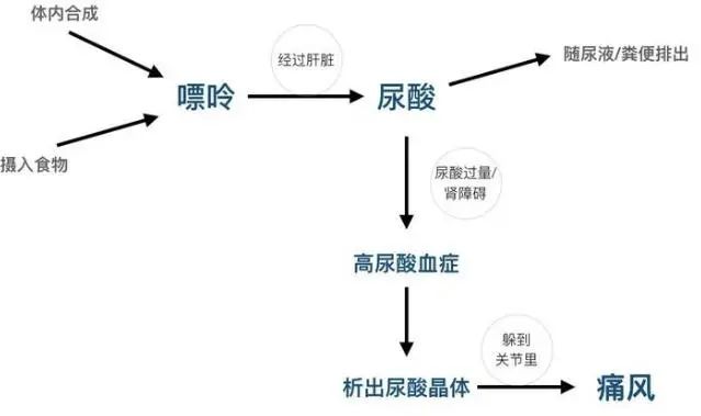 补硒会导致尿酸高吗