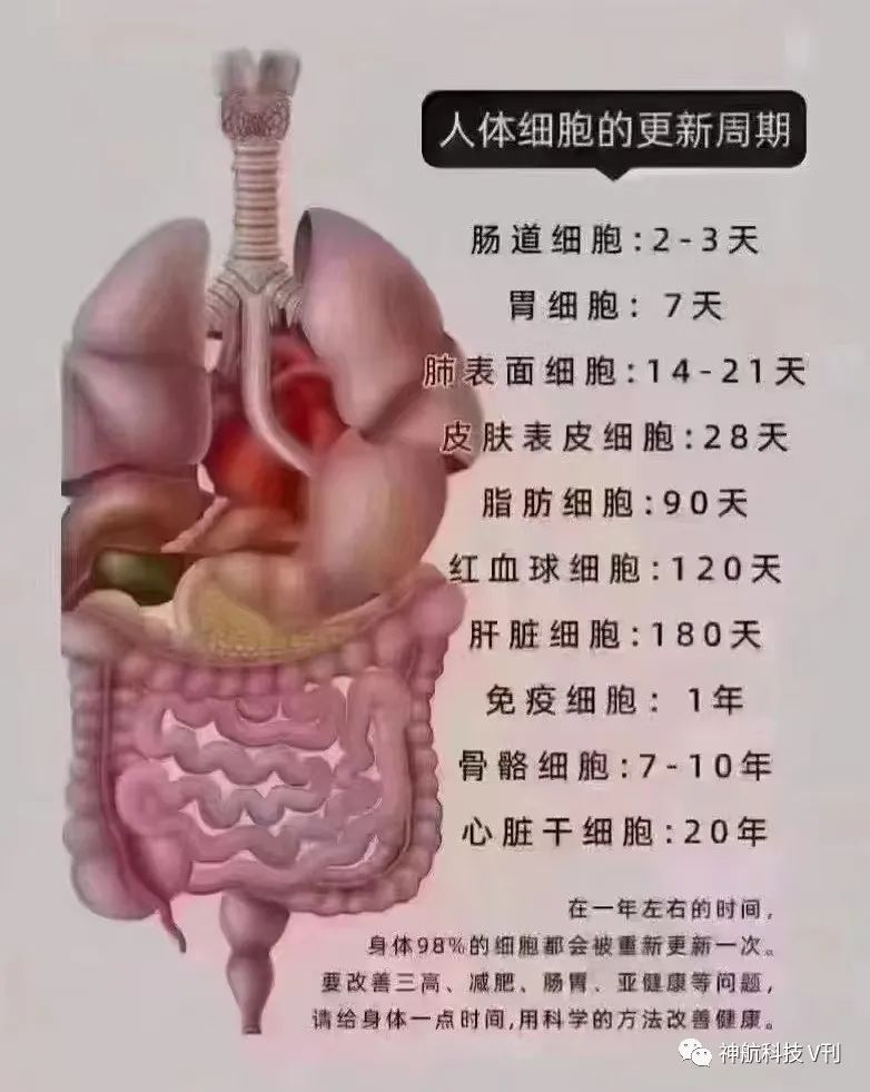 补硒的药可以代替吗