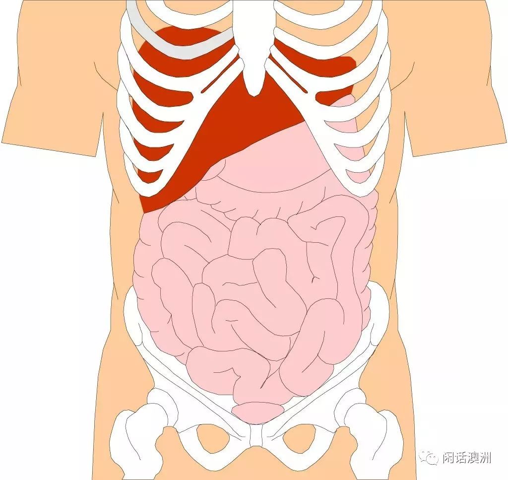 补硒哪种保健品牌好