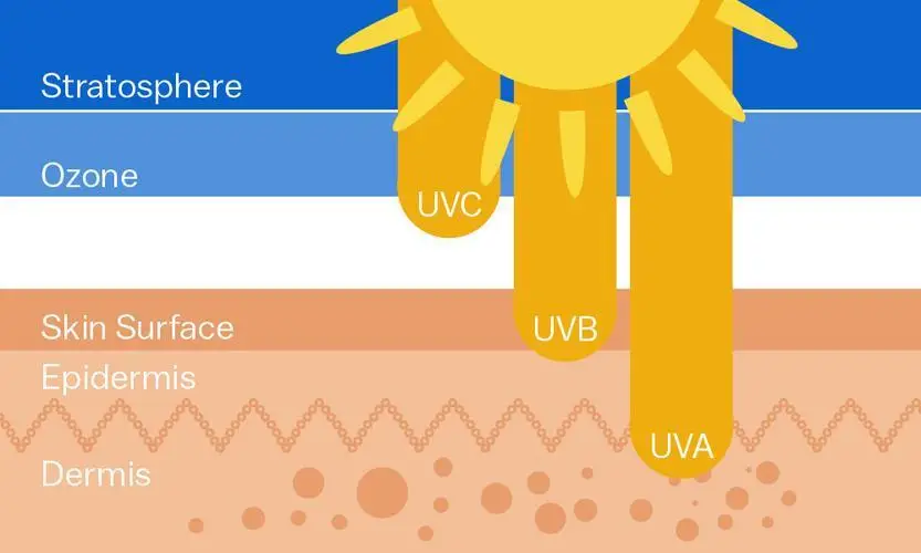 为什么晒太阳能补钙