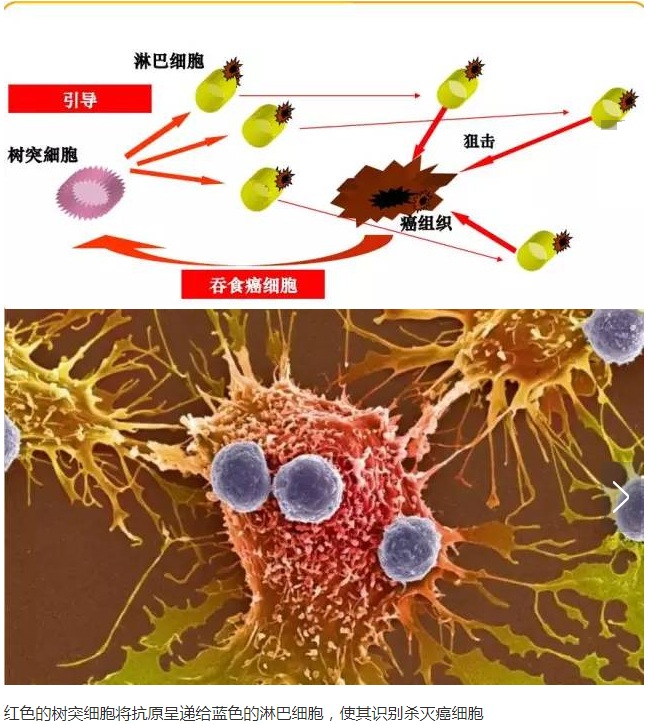 胰腺癌患者怎样补硒