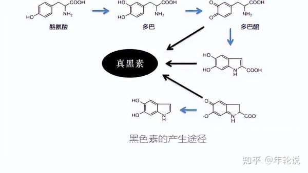 头发白缺什么微量元素