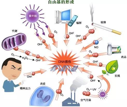 哪些人应该及时补硒