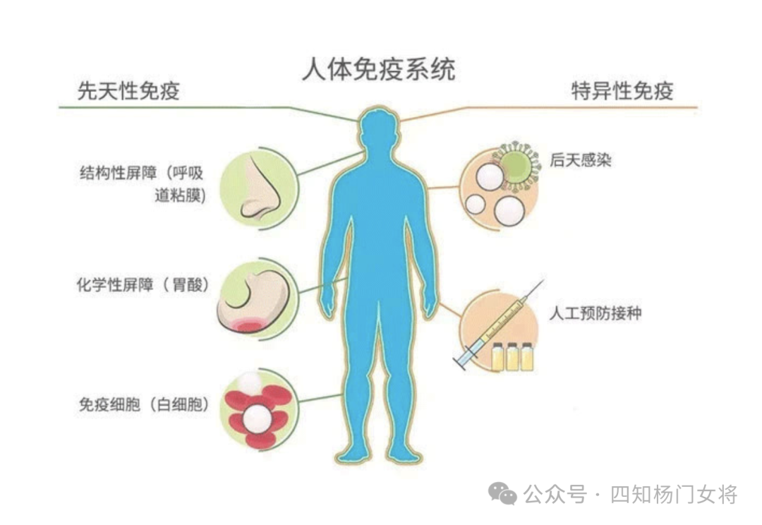 我国建议的每日补硒