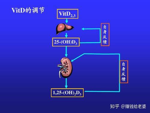 吃什么补钙效果最好