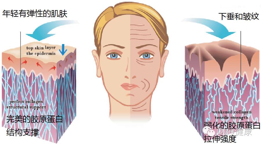 平时补点锌硒的坏处