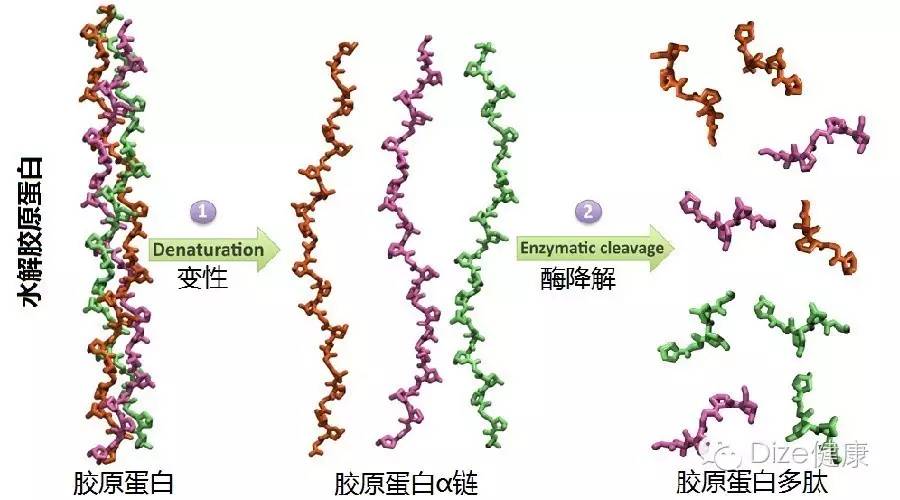 平时补点锌硒的坏处