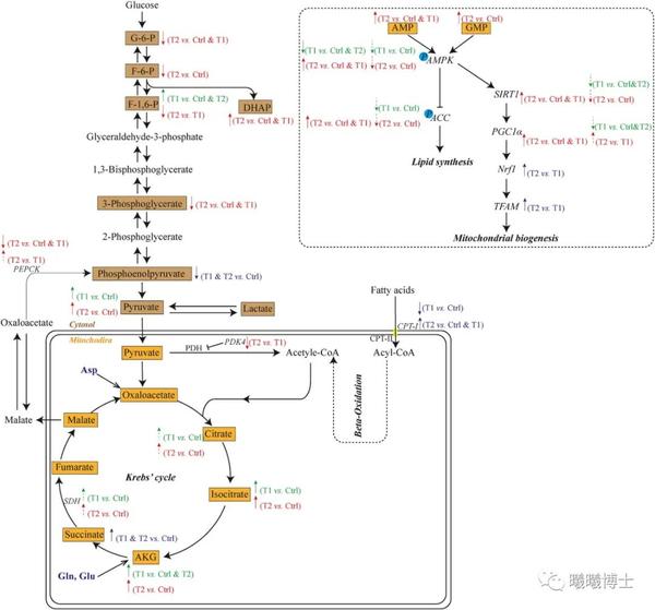 断奶期间可以补硒吗