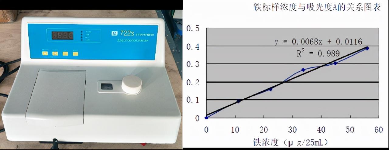 菠菜补铁吗