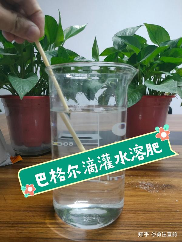 微量元素水溶肥