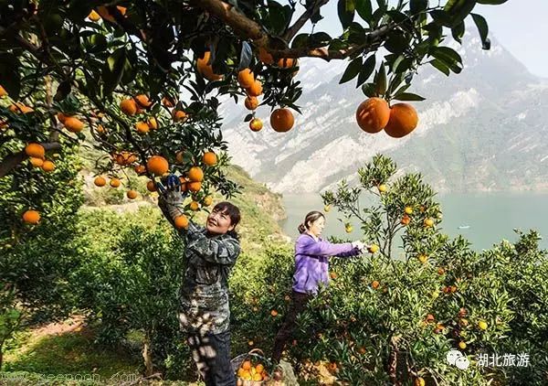 到恩施吃住能补硒吗