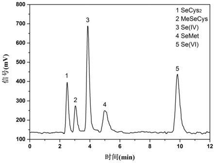 一种选择性高效提取富硒植物中硒代氨基酸组分的方法与流程