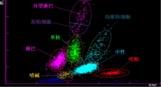 补硒能增加白细胞吗