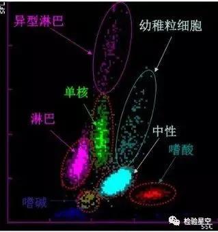 补硒能增加白细胞吗