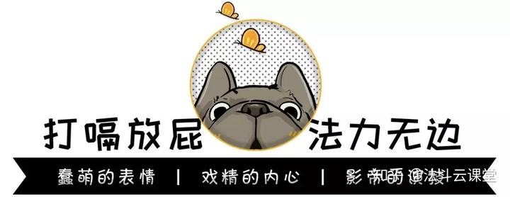 狗怎么补钙