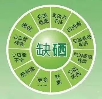 白细胞低可以补硒吗