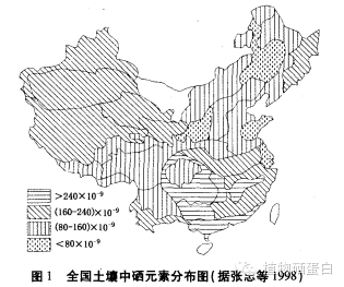 白细胞低可以补硒吗