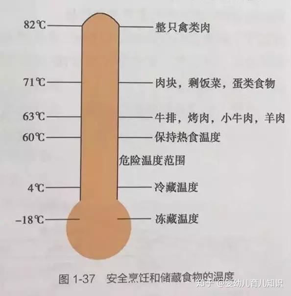 补铁吃什么