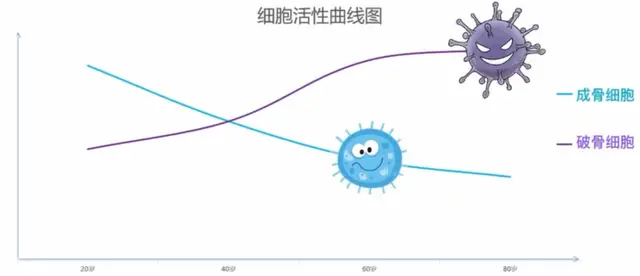 骨折可以补钙吗