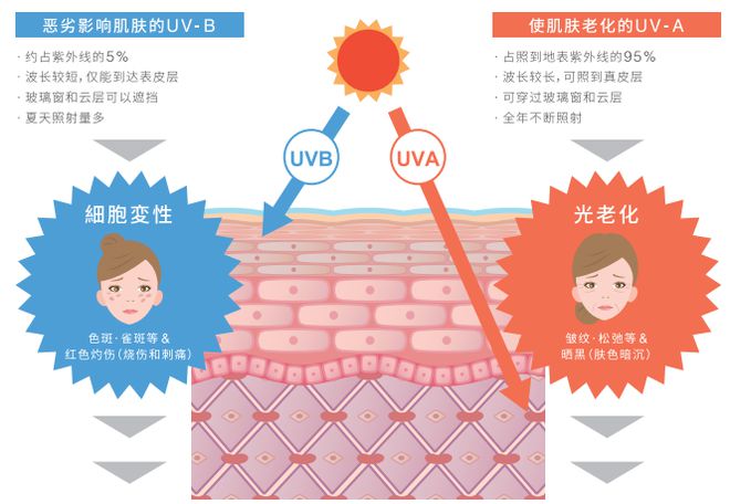 为什么晒太阳补钙